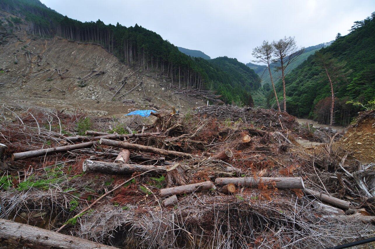 土砂崩れによる倒木・流木（堆肥または緑化用土として利用）