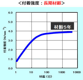 付着強度：長期材齢