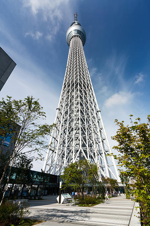 スカイアリーナからの見上げ　 &copy;TOKYO-SKYTREE